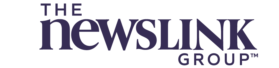 the newslinkgroup logo